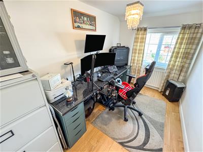 Picture 19